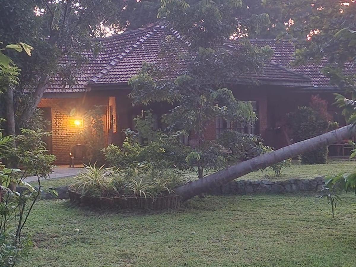 Sigiriya Cottage Buitenkant foto