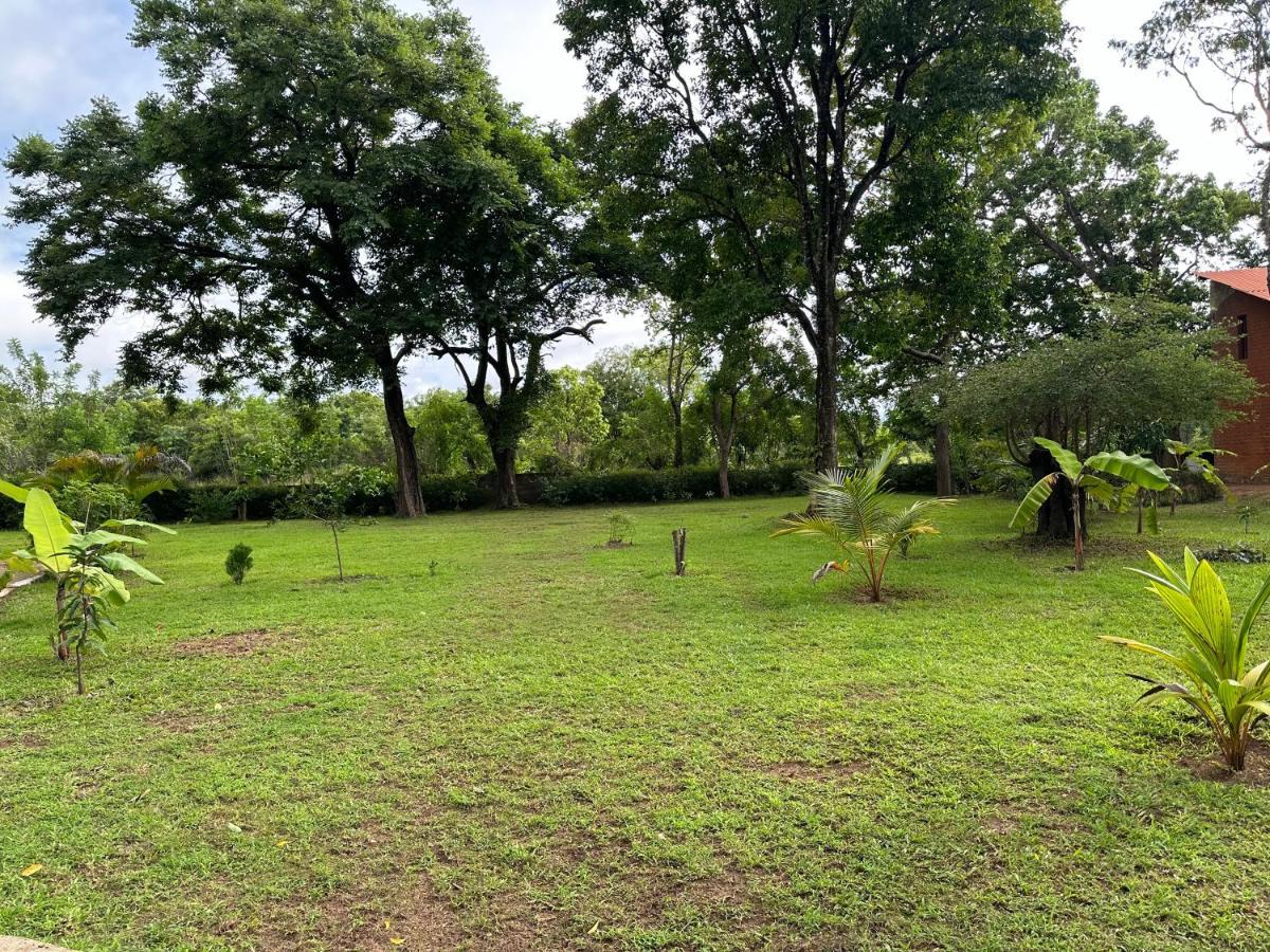 Sigiriya Cottage Buitenkant foto