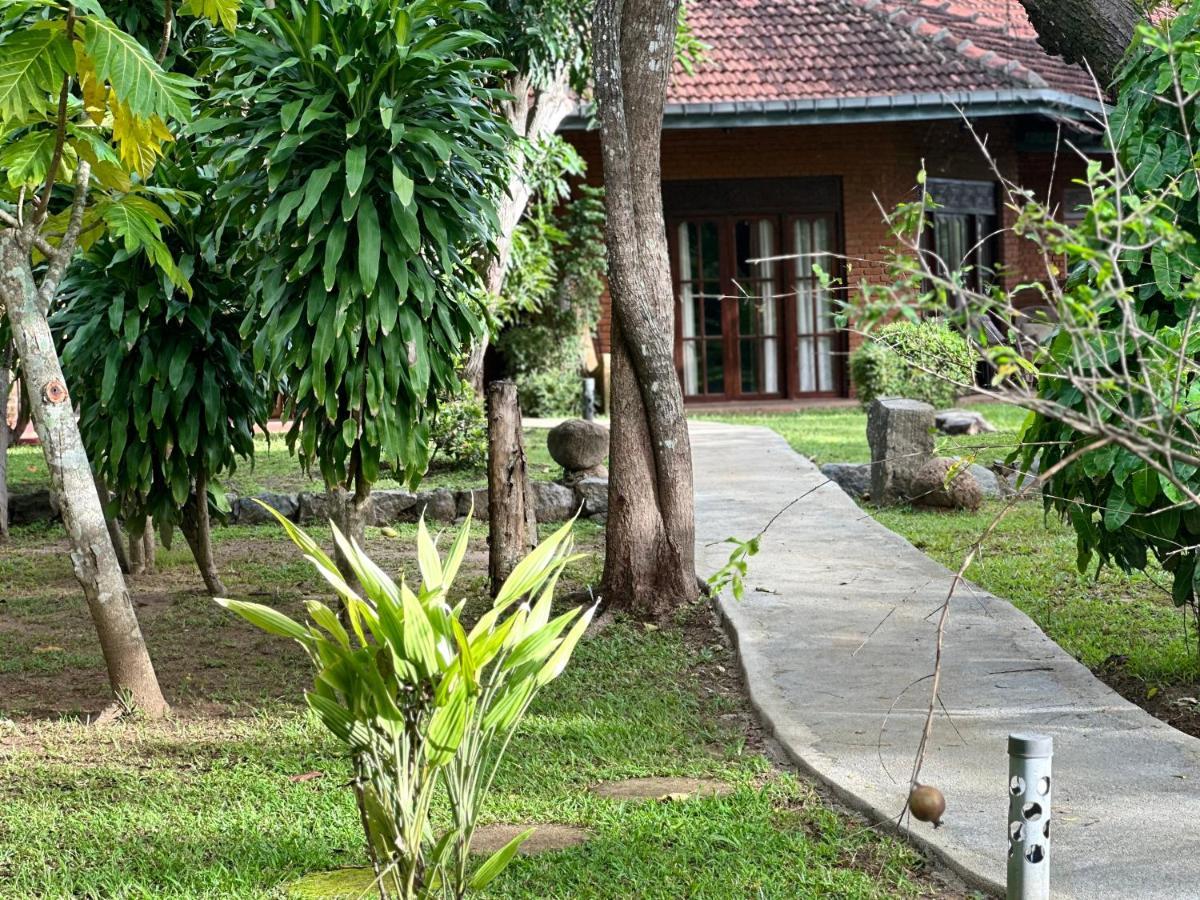 Sigiriya Cottage Buitenkant foto