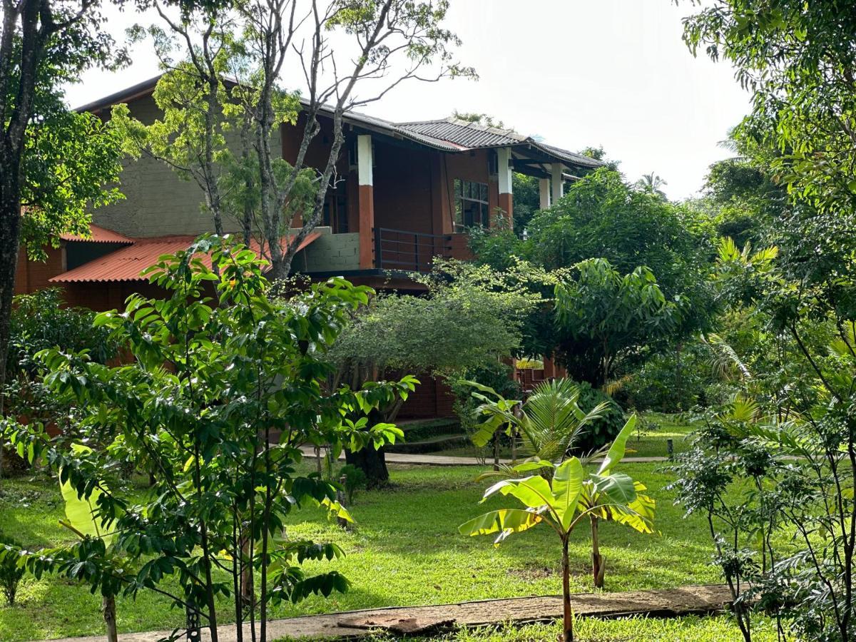 Sigiriya Cottage Buitenkant foto