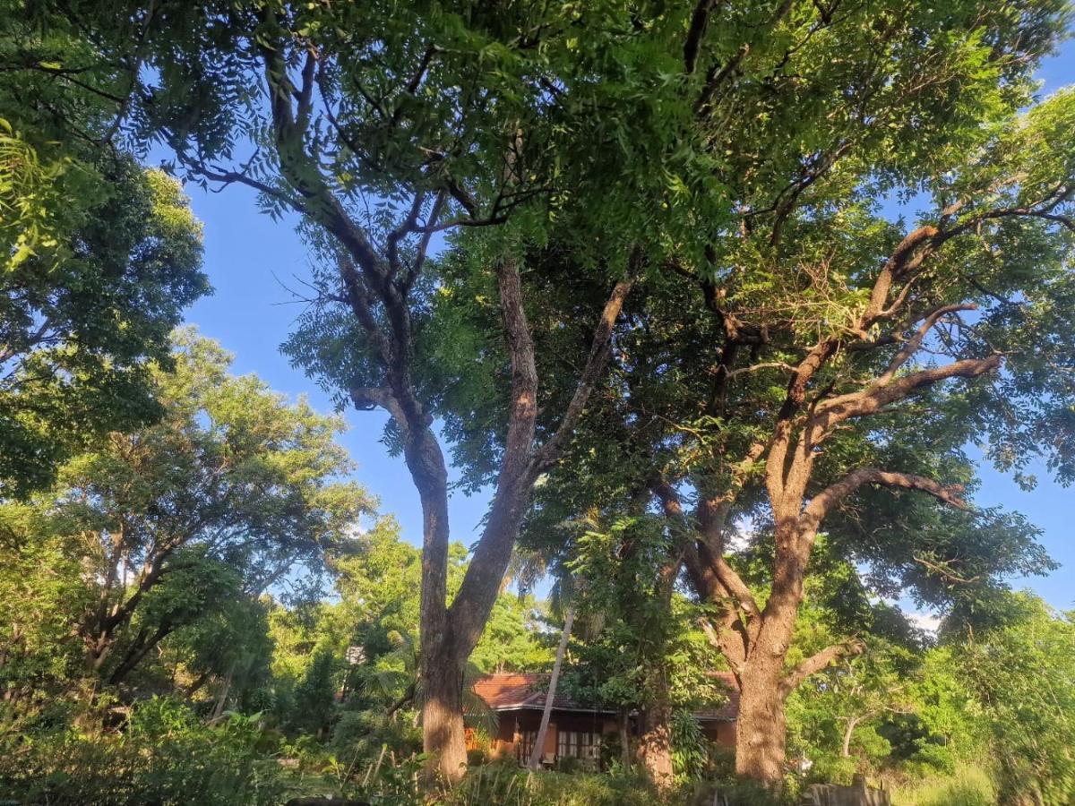 Sigiriya Cottage Buitenkant foto