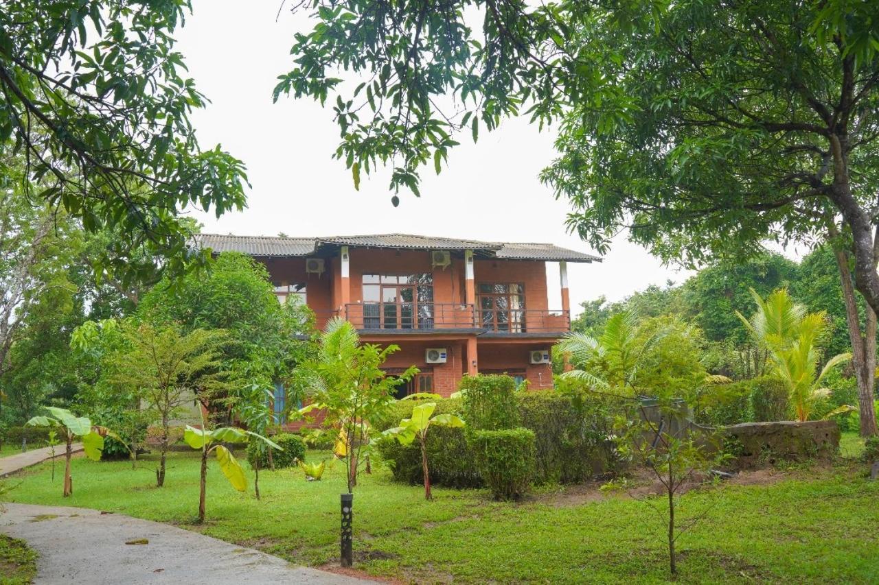 Sigiriya Cottage Buitenkant foto