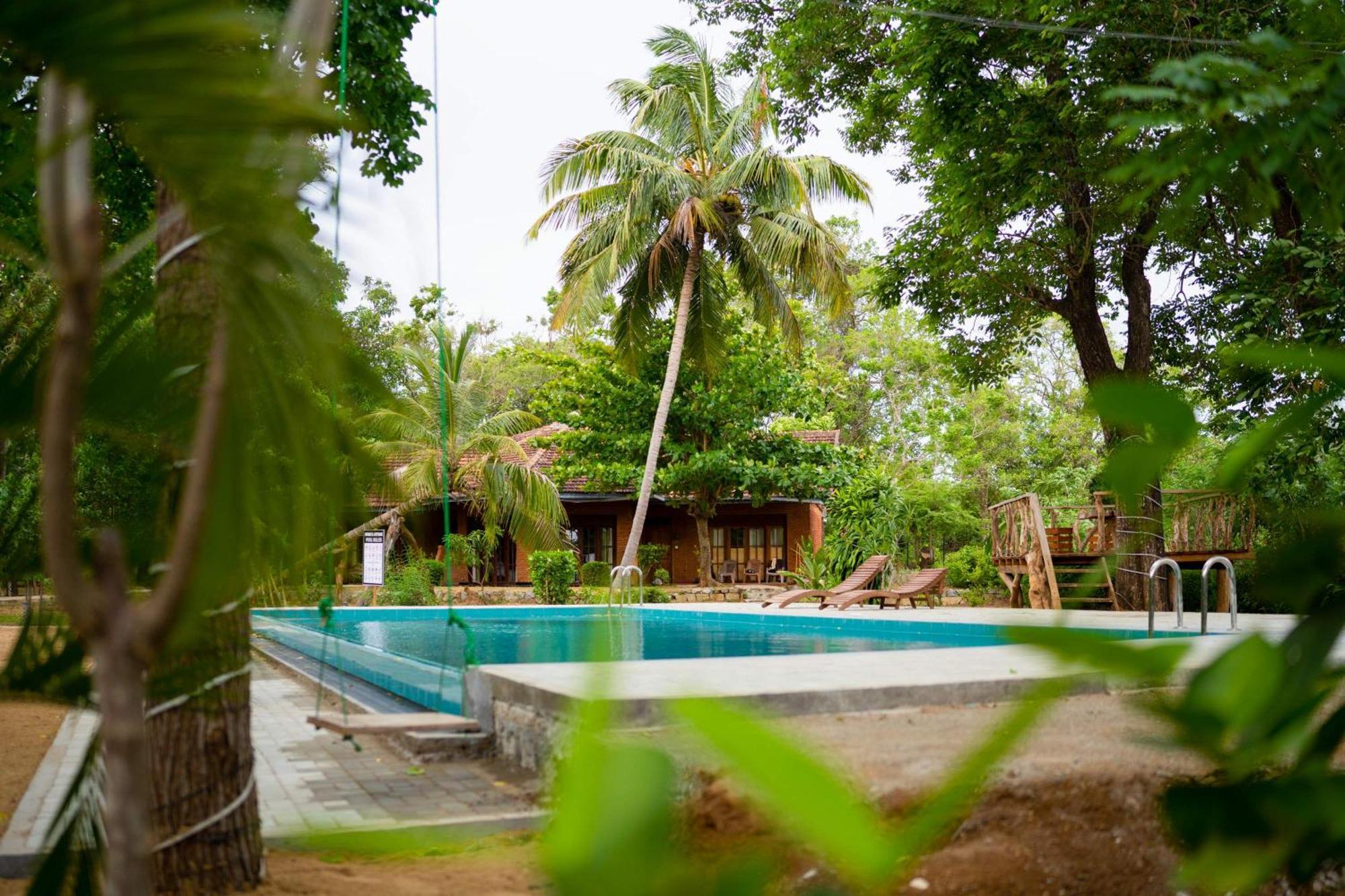 Sigiriya Cottage Buitenkant foto